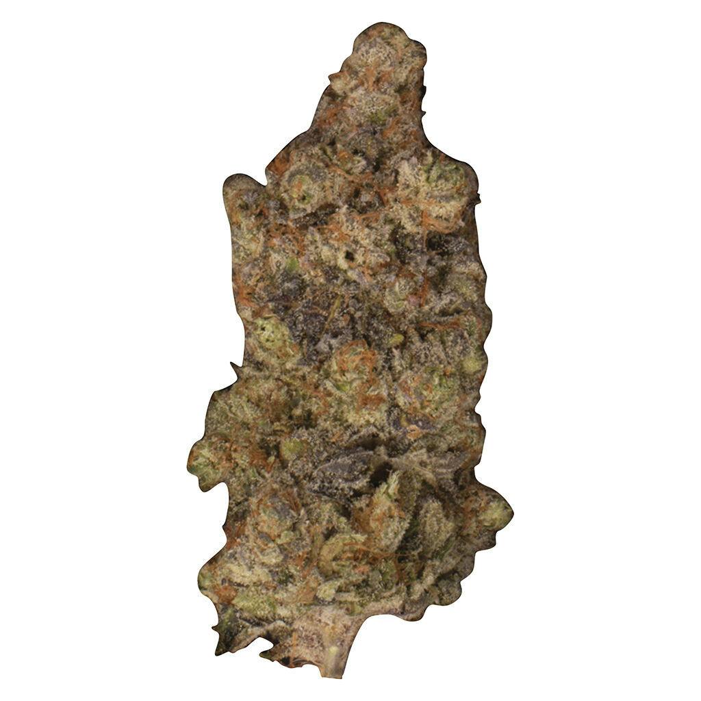 Ripped - Zooted 28g | Growers Retail (Waterloo)