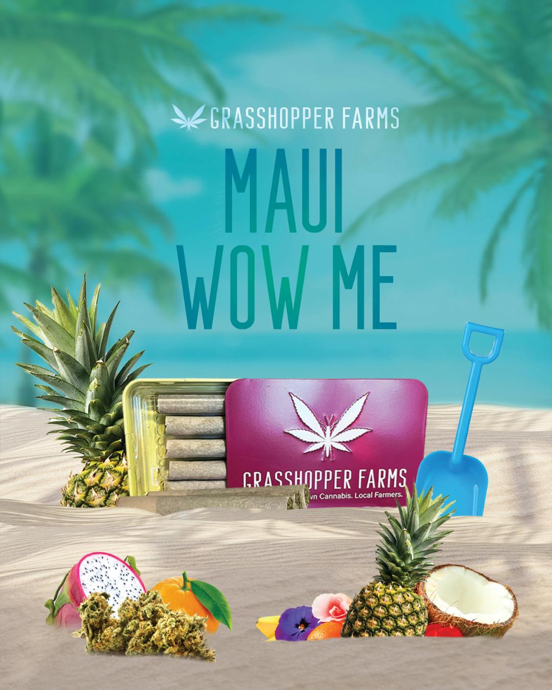 Product: Grasshopper Farms | Maui Wow Me | Infused Pre-rolls Tin | 1g x 5 | Sativa