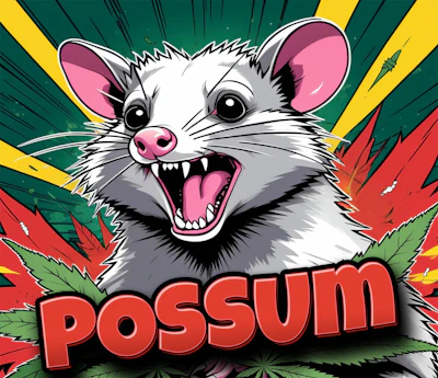 DELI - Possum