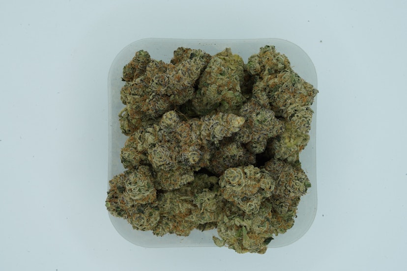 Mitten Distro Flower Cosmic Candy
