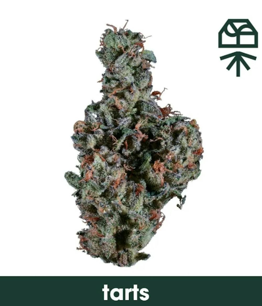 Product GR Popcorn - Tarts 7g