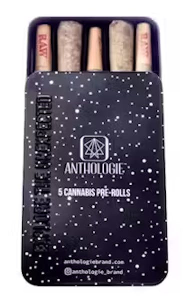 スパイダーセンス foil 48枚 マーベル スパイダーマン FOIL先行