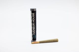 Runtz - Preroll 1g