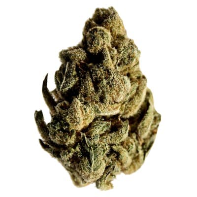 POG Dispensary