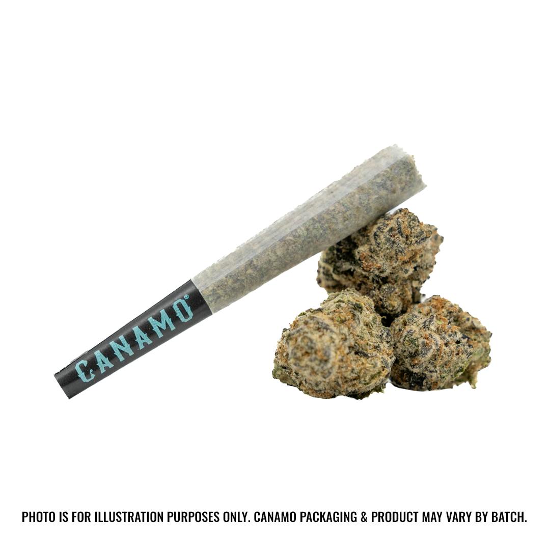 Premium Preroll 0.5g - Glacier Freeze | The Roots Midtown
