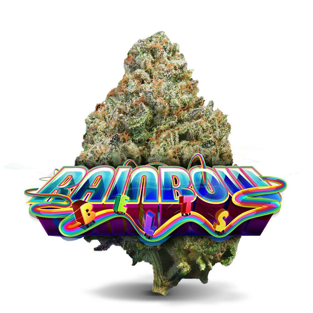 Shop Rainbow Belts - Premium Flower in Miami | Jungle Boys