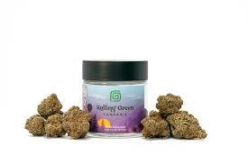 Rolling Green | Sub Zero | Flower Jar