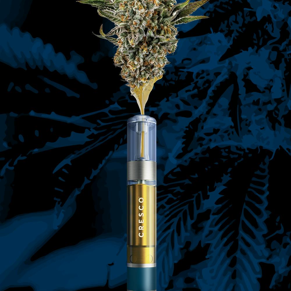 Product Image Alt