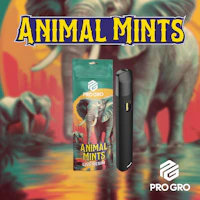 Animal Mints 1g Live Resin Disposable - product image at King of Budz