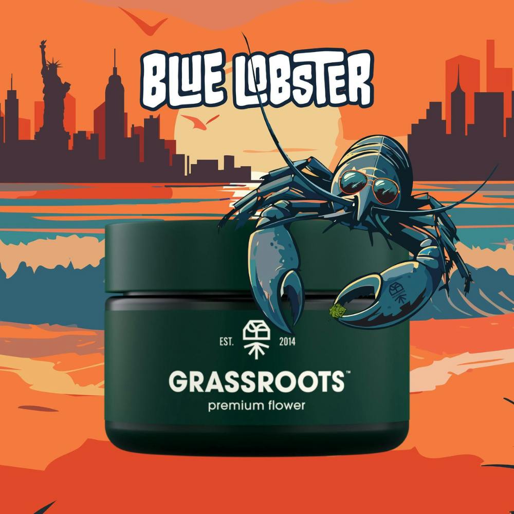 Grassroots | Blue Lobster
