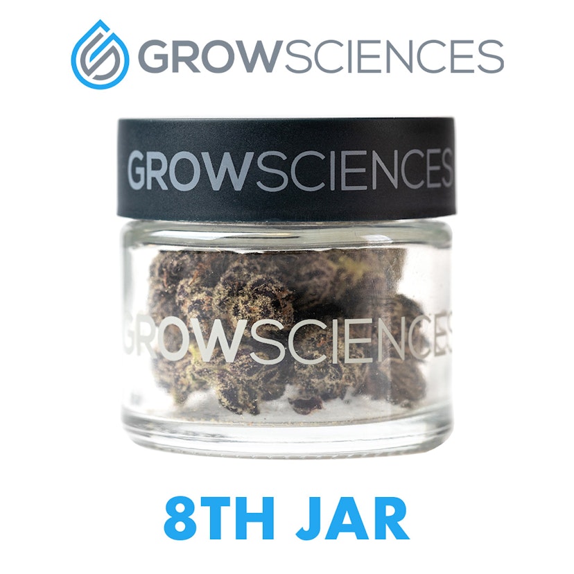 Grow Sciences Flower Jar 3.7g: Pineapple Fruz