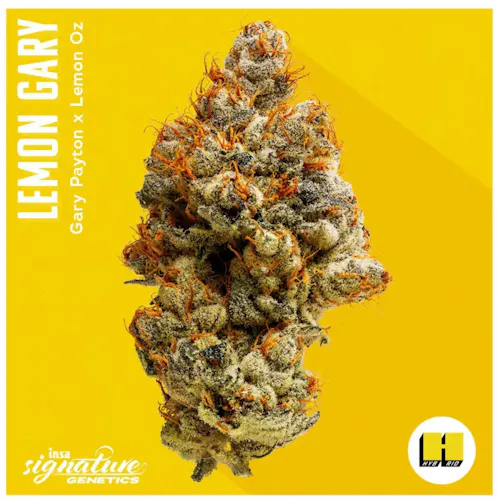 Insa Lemon Gary 14g-active