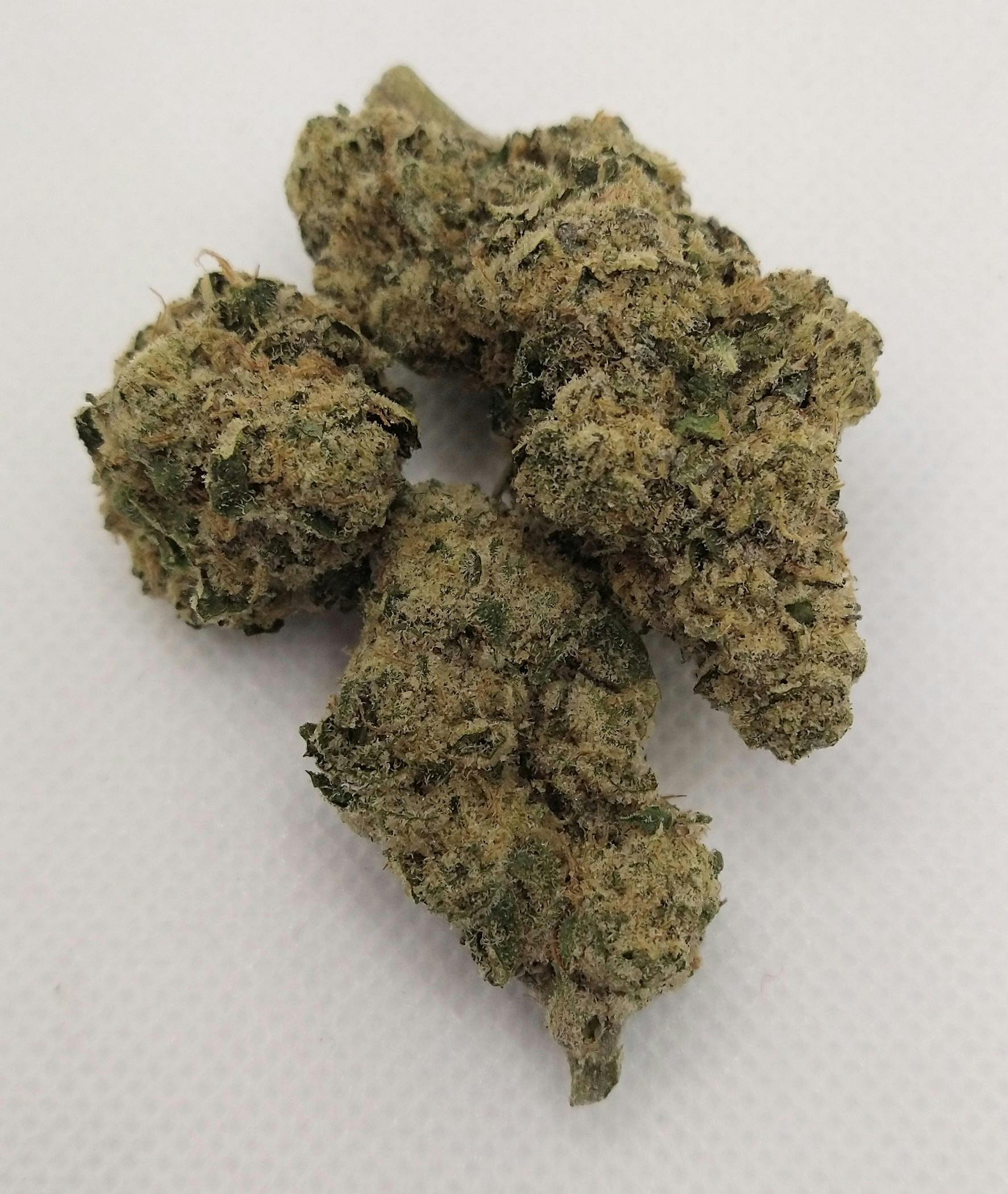 Good Nature | Honey Banana | Sativa | Bulk Flower | Bees Knees