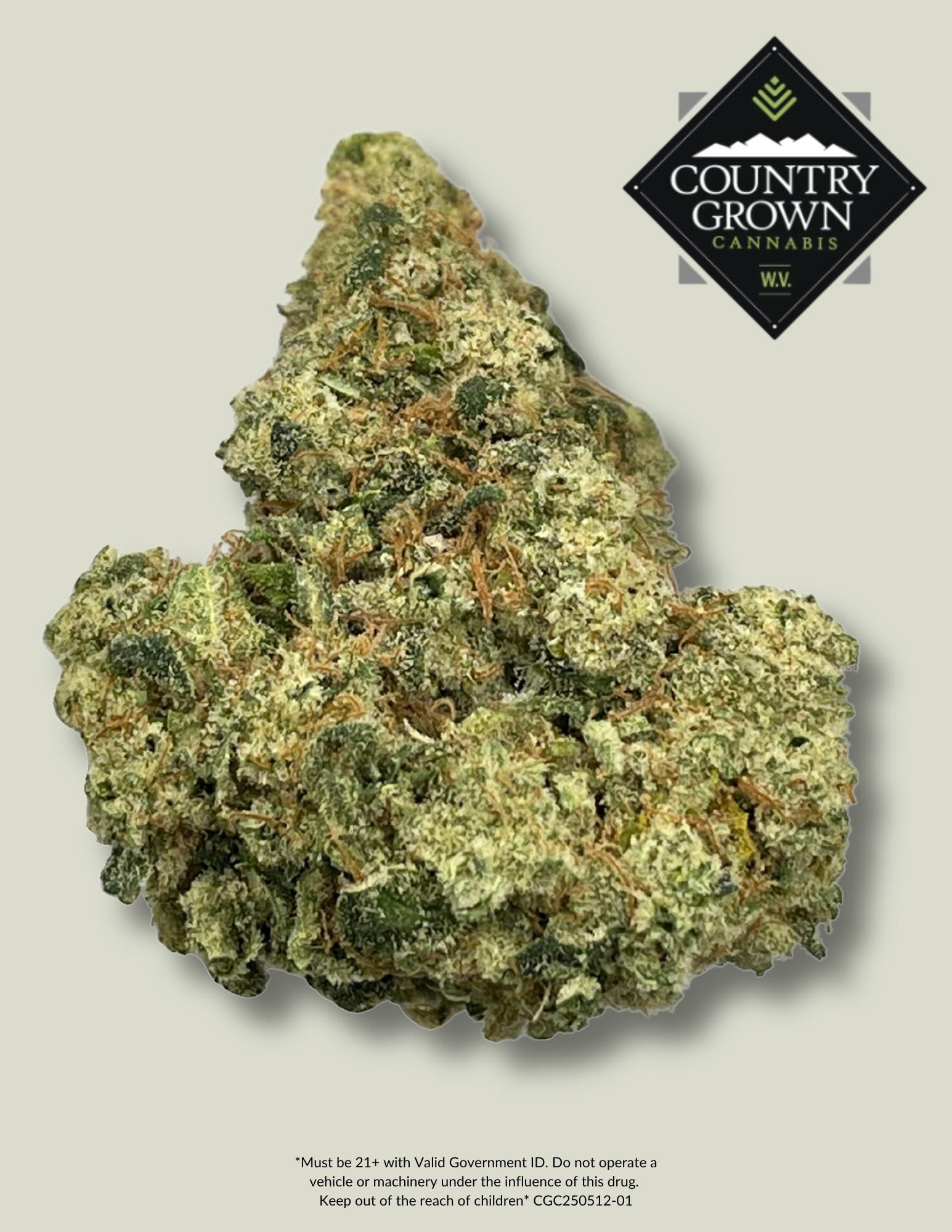 Gorilla