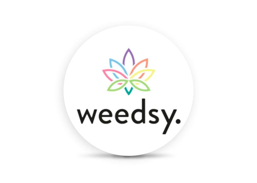 Image of Weedsy - Infused 7 Pack Pre Rolls - Original