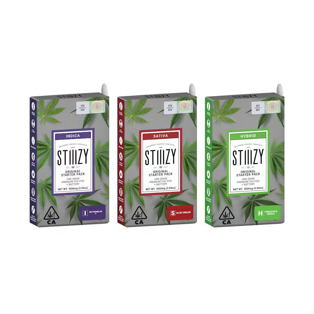 Stiiizy - 1g Starter Kit - Pineapple Runtz