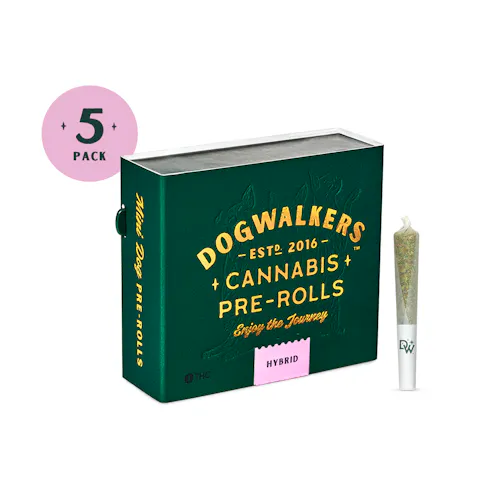 Outta My Head Mini Dogs 5-pack | 1.75g-active