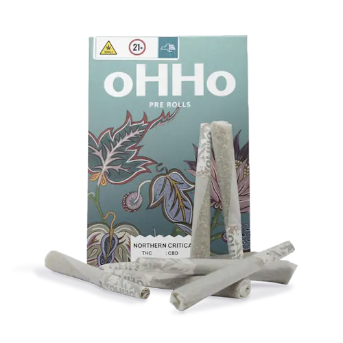 House of Sacci | Puffin Z | 7 Pack Pre-Rolls | 3.5g-active
