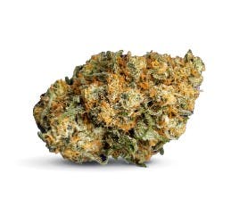 Photo of Lemon OG Haze