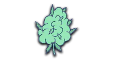 Flower category image