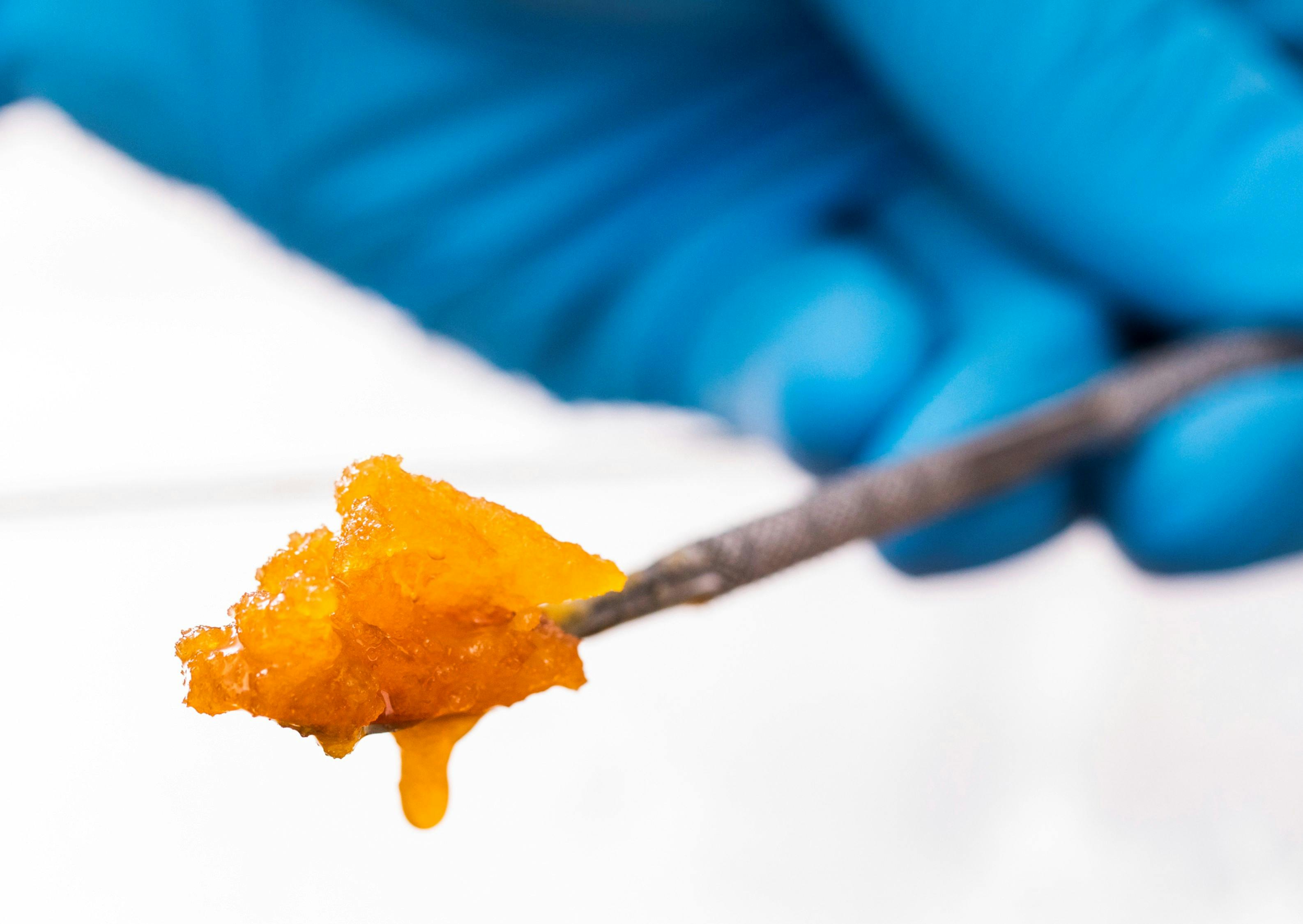 Photo of 1g Kitchen Sink Sugar