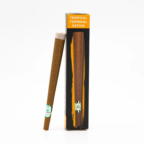 L-Train - 2g Moon Rock Infused Blunt - Tropic Terminal