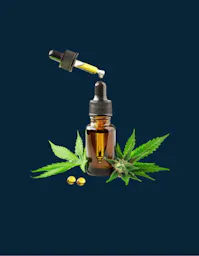 CBD category image