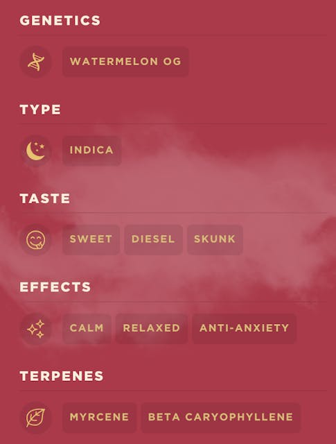 Watermelon OG (IH) | 1g | Live | Disposable | Vape| DIME - Image 2