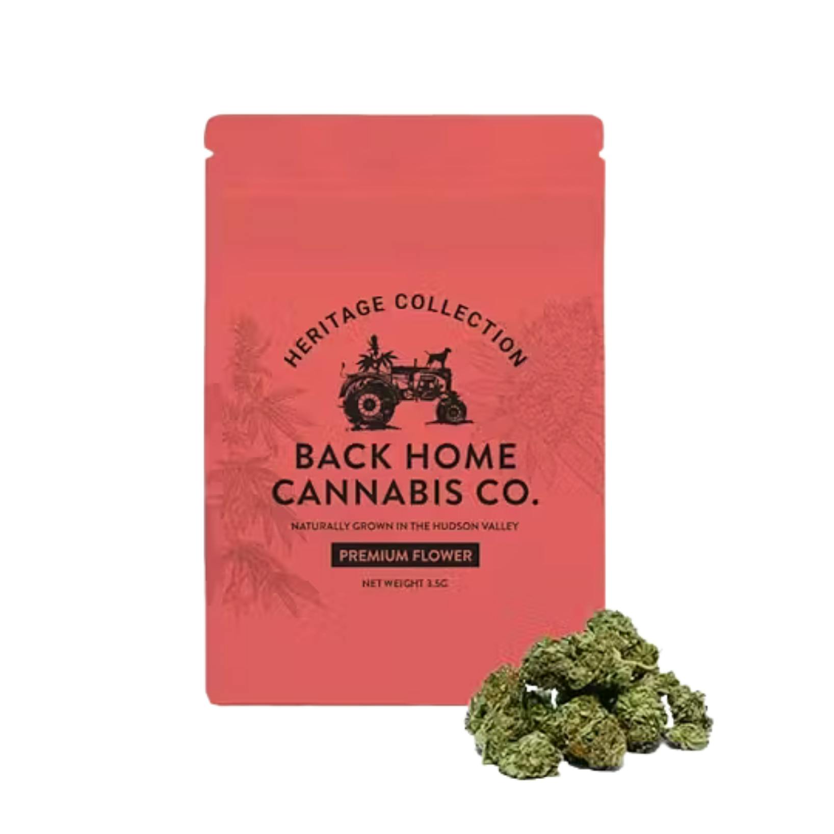 Back Home Cannabis Co. - White Widow - 3.5gBack Home Cannabis Co.HybridTHC: 24.68%Kaya Bliss Summer Special! Spend $100 get $10 Off!+2