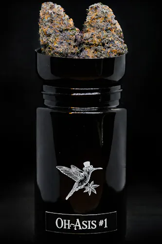 Noble Valley | Flower | Oh-Asis 1 | 7g-active