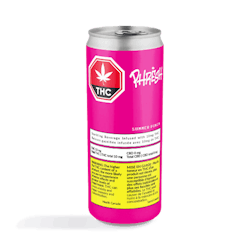 Summer Punch Sparkling Beverage | 355ml