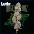 Ridgeline Lantz80011