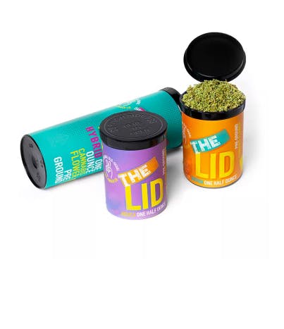 The Lid Lady Lakehurst RTR 14G | Casa Verde
