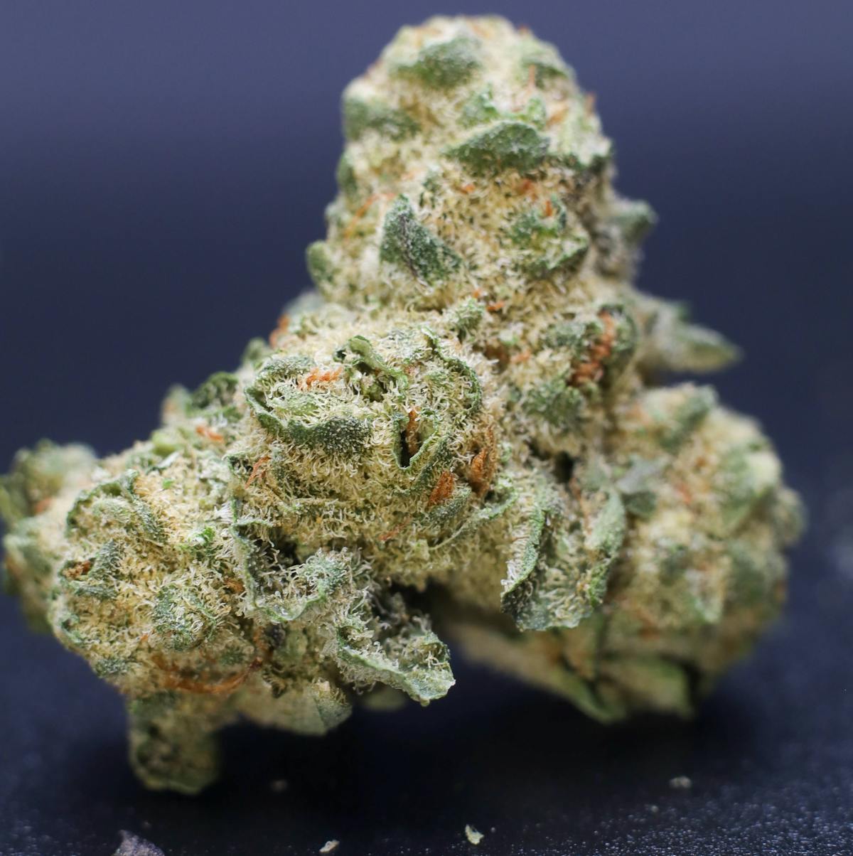 Photo of Silver Shelf – Chemdawg (S)