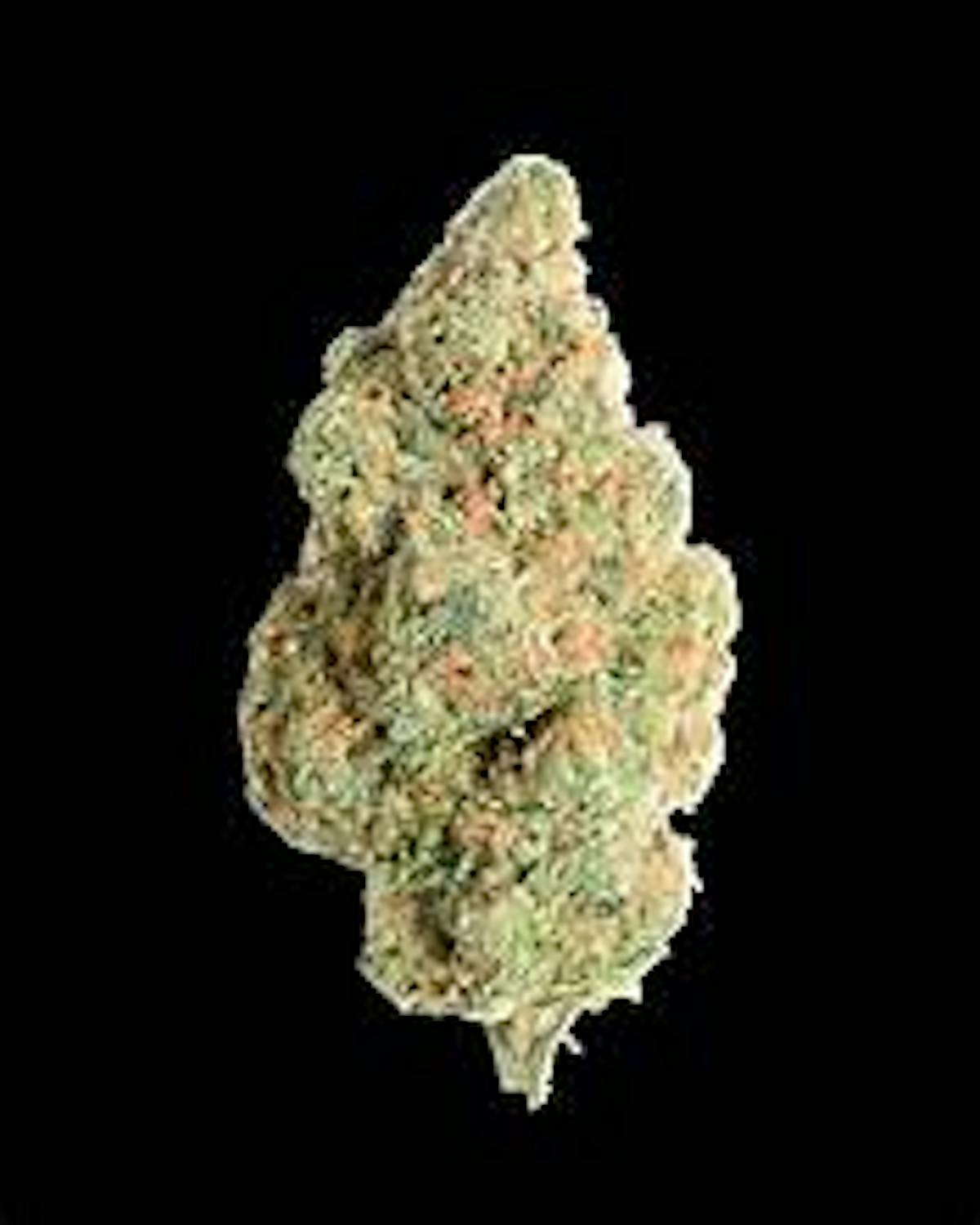 Photo of Platinum Shelf – Cookies (I)