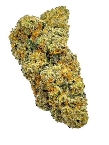 Cookies Fried Bananas Rec-active