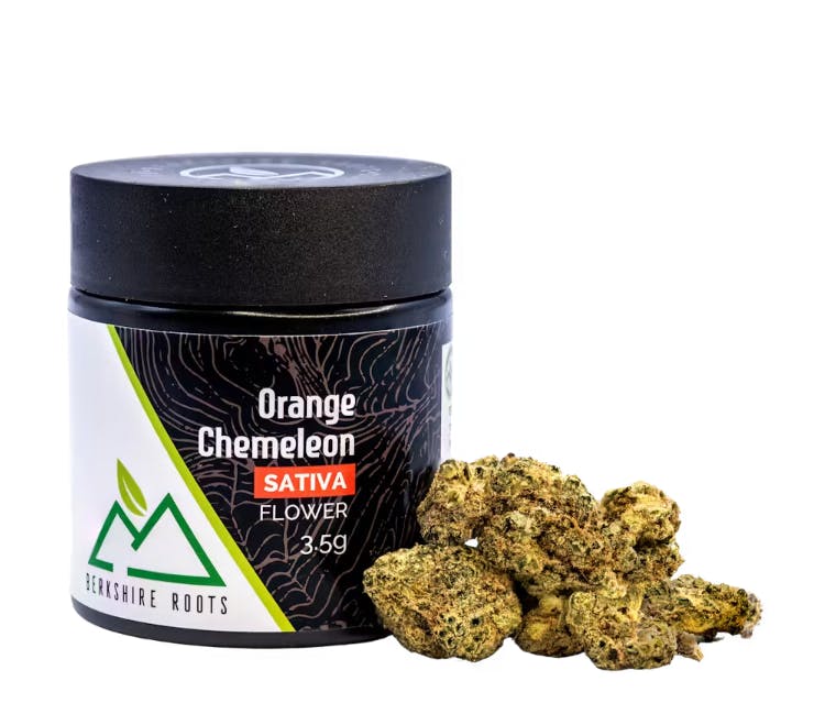 Product Orange Chemeleon | Flower | 3.5g