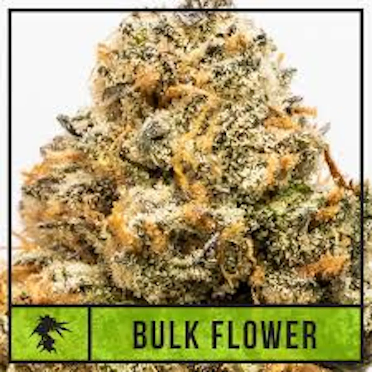 Gold shelf – Slowpoke (I) 1g Flower | Natty Rems