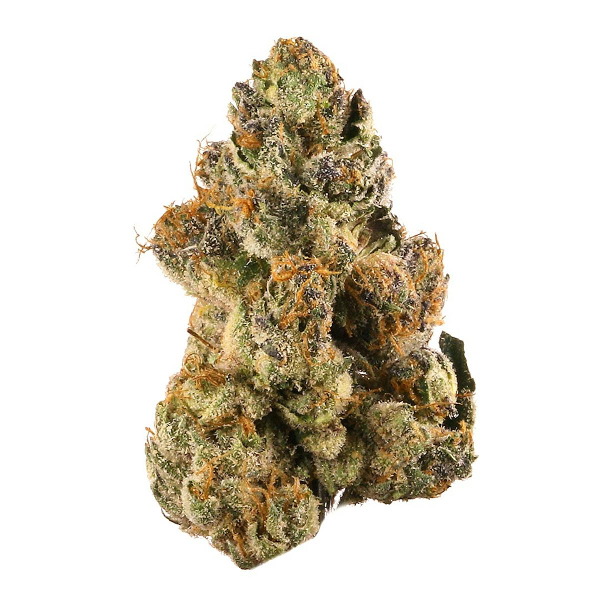 Image of Gelato Sunrise | 3.5g Flower