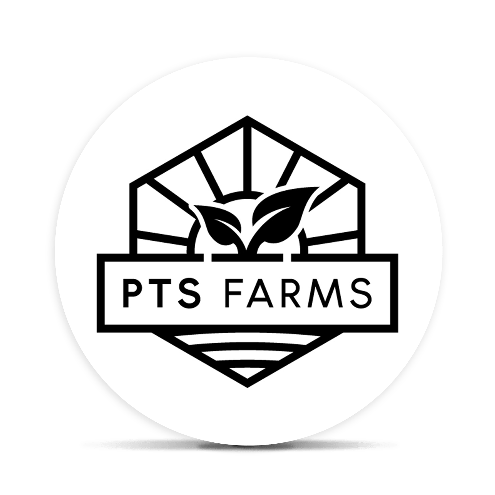 Image of PTS Farms | Garlic OG | Shake / Ground Flower | Hybrid | [5.66g]