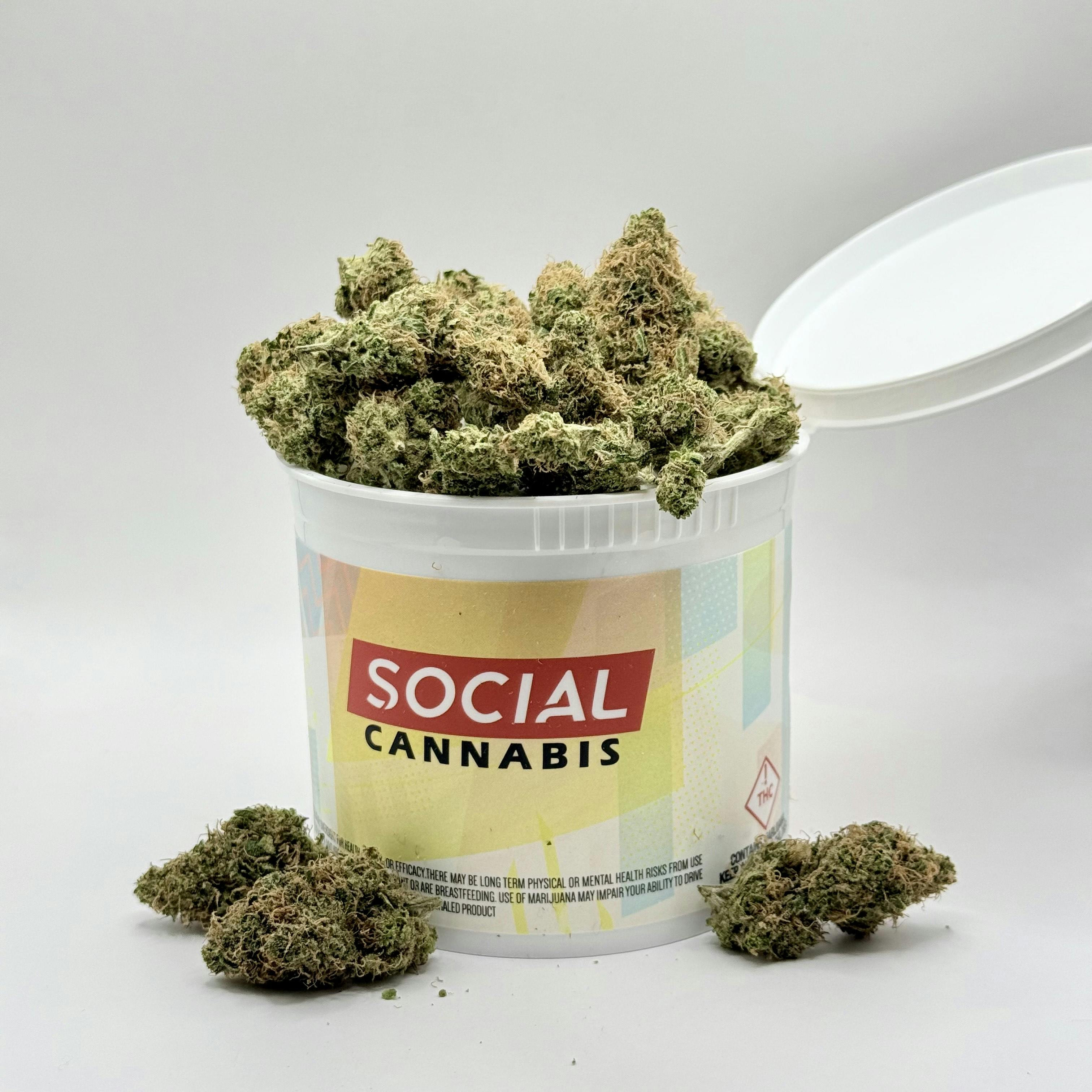 Photo of Platinum Shelf Golden Goat