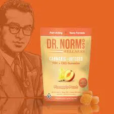 Dr. Norm's | Harborside (San Jose 10th Street)