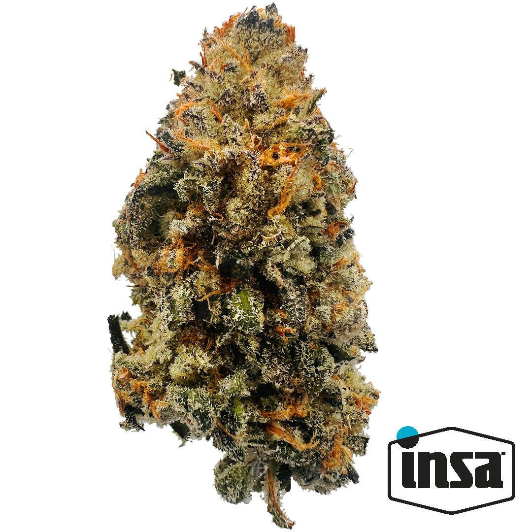 Blue Ckies Whole Flower