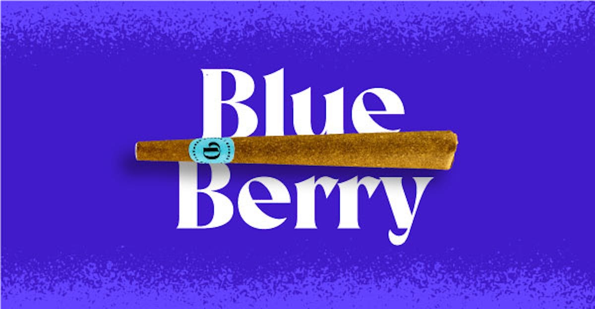 Photo of Doinks Blueberry Distillate Infused Pre-Roll 1g