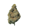 2/$40 N.U.G 8THS
