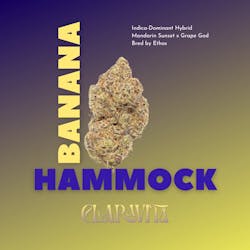 Banana Hammock RBx1 - Buds 3.5g