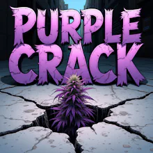 DELI - Purple Crack