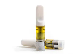 Vaporizers category image