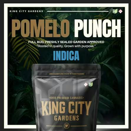 King City Gardens - GG4 (H) - 3.5g | HWC Portsmouth