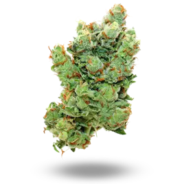 Flower category image